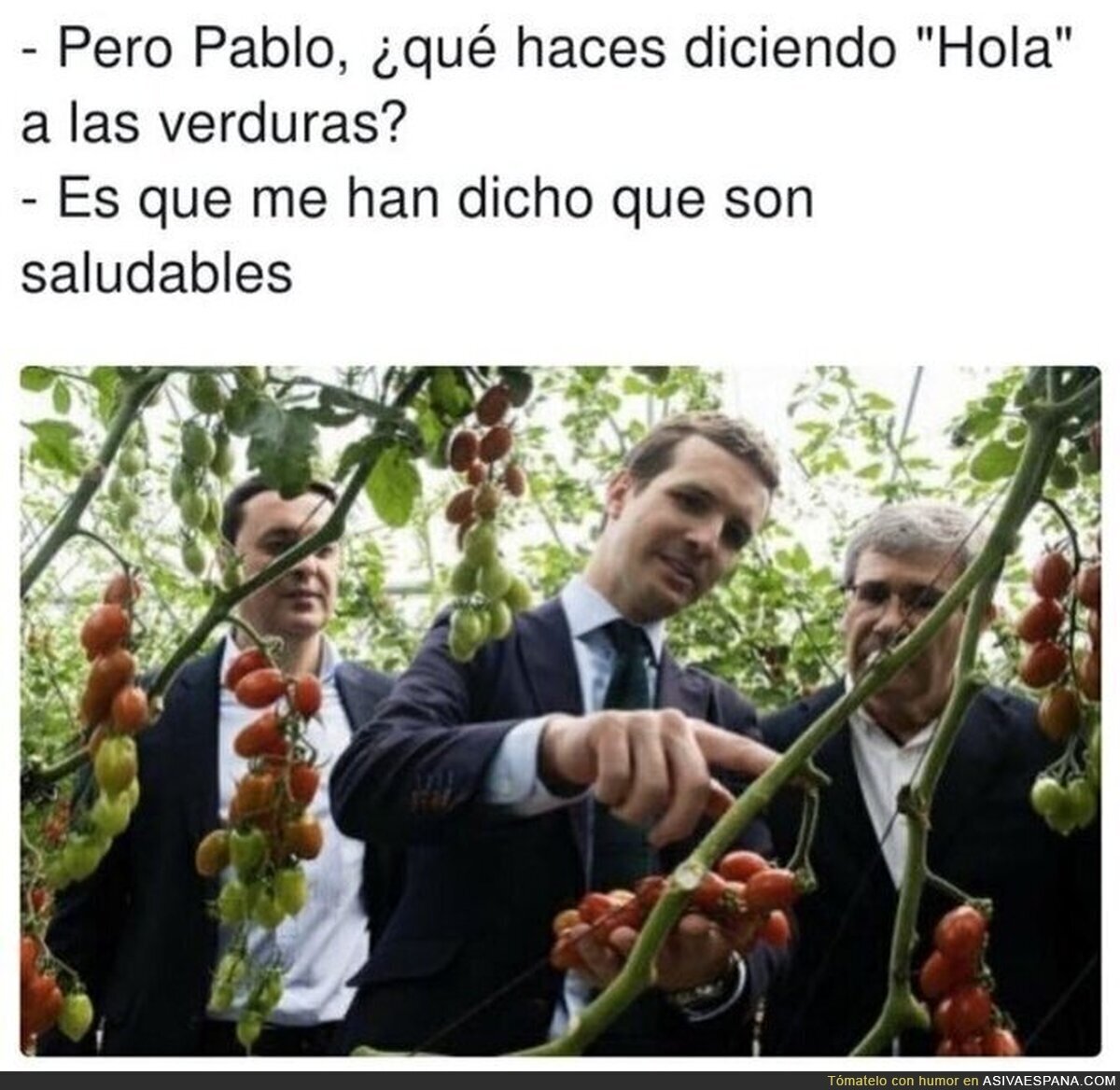 Simplemente Pablo Casado