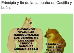 Como ha evolucionado todo en Castilla y Le&oacute;n