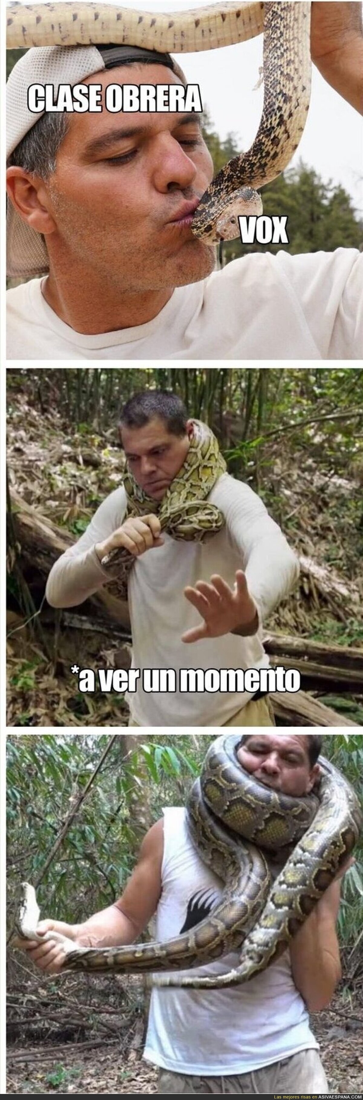 Cría cuervos y...