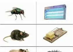 Trampas de las que hay que huir