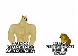 Las dos caras de Pablo Casado