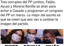 Tres l&iacute;deres muy similares