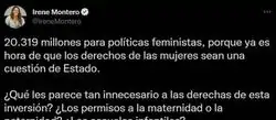 A todo esto ir&aacute; dirigido los 20.319 millones de euros el ministerio de igualdad de Irene Montero por lo que la ultraderecha est&aacute; contra ella