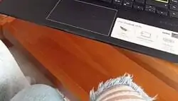 Muchas risas por el ritmo de esta canci&oacute;n de Rosal&iacute;a porque suena tal cual igual que esta que todos conocemos