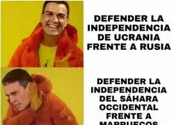 Muy bien Pedro S&aacute;nchez