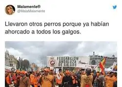 As&iacute; son los cazadores