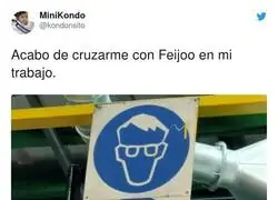 Feij&oacute;o omnipresente