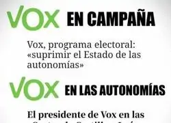 Las dos caras de VOX
