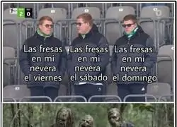 La vida de las fresas pasa r&aacute;pido