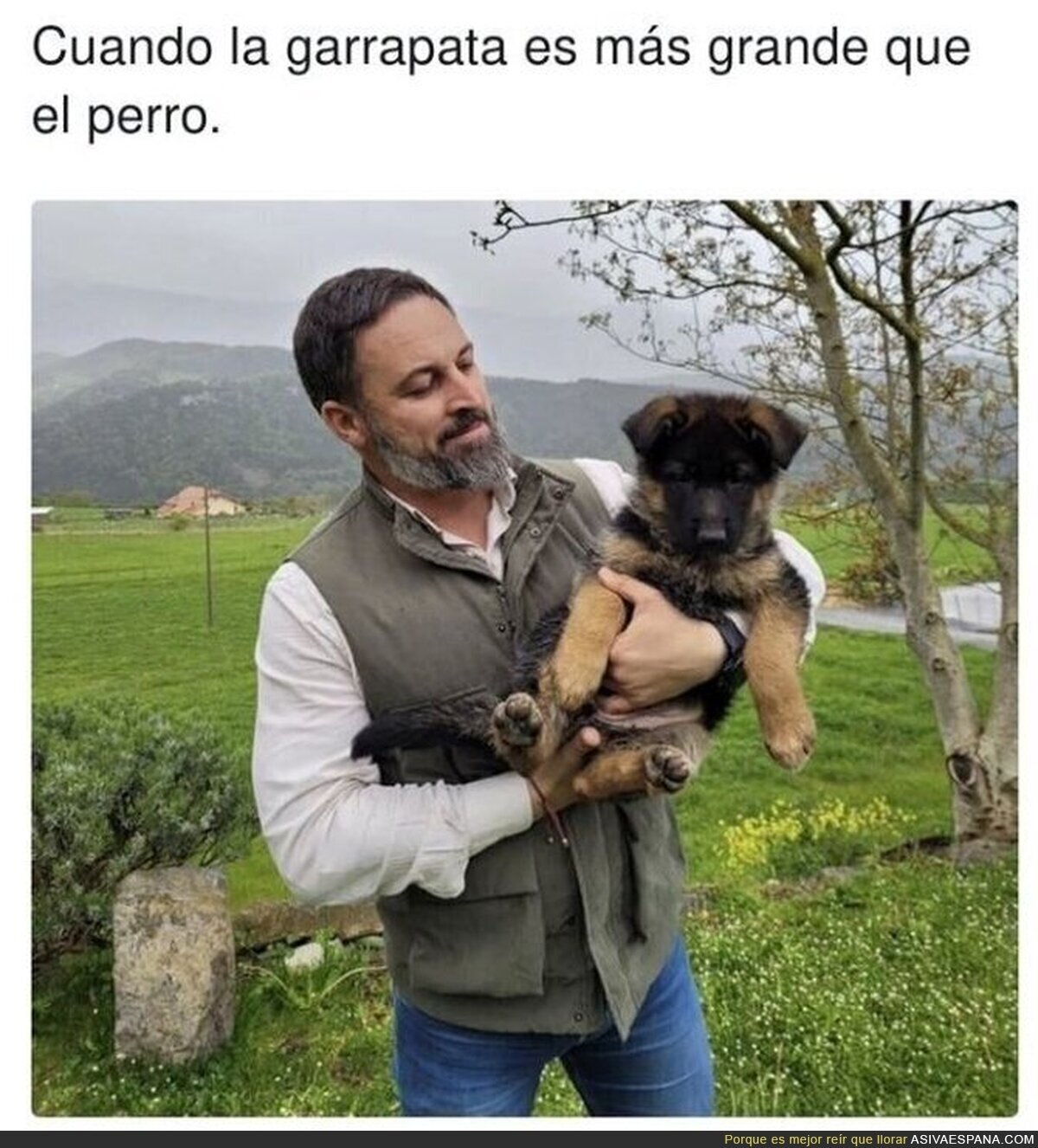 Cuidado pobre perrito