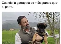 Cuidado pobre perrito