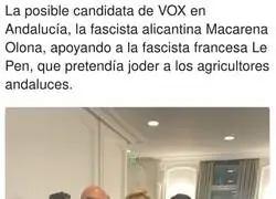 Tremendo lo de VOX