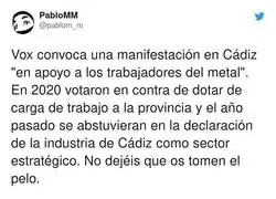 VOX no tiene ni idea de lo que pasa en C&aacute;diz