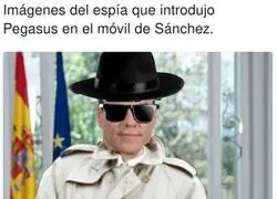 Tipo de inc&oacute;gnito