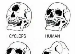 Siempre est&aacute; el t&iacute;pico que suelta ese comentario