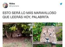 Historia con final... feliz