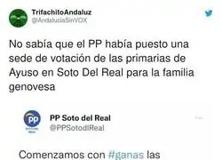 La mejor cuenta del PP que m&aacute;s les identifica