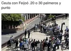 La realidad de Feij&oacute;o, y la mitad son prensa