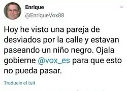 As&iacute; es el votante medio de VOX