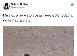 Hay que estar muy mal de la cabeza