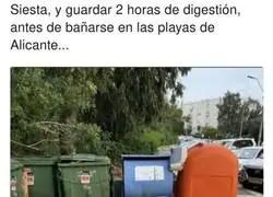 La vida de los jabal&iacute;s en Espa&ntilde;a