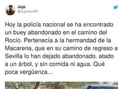 &iquest;C&oacute;mo puede hacer esto la gente cristiana?