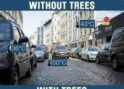 A ver si as&iacute; se entiende