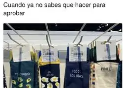 Cualquier opci&oacute;n es buena
