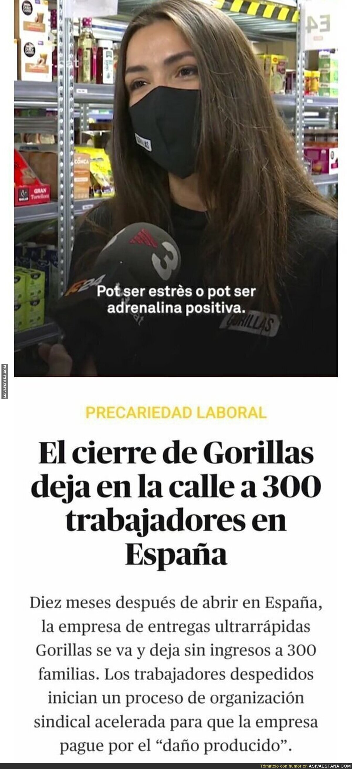 El final de Gorillas