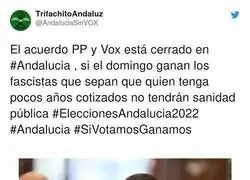 El futuro que espera a los andaluces con VOX