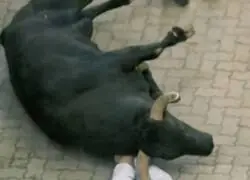 Tras el incidente en San Fermines...