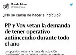 La incompetencia de PP y VOX