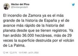 Cat&aacute;strofe monumental en Zamora