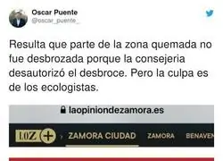 Muchos errores por el camino en los incendios por Espa&ntilde;a