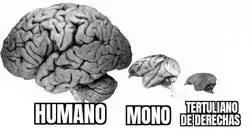 Esto explica muchas cosas