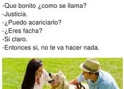 Un perro tranquilo seg&uacute;n como seas