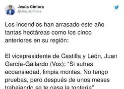 Este es el nivel de VOX