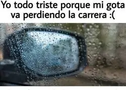 Distracciones fatales