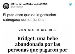 Esto es lo que defienden algunos partidos en Espa&ntilde;a