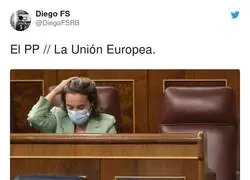 El PP va contra todas las soluciones que ofrecen