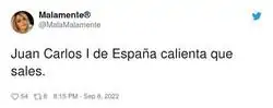 Bicho malo nunca muere, por @MalaMalamente