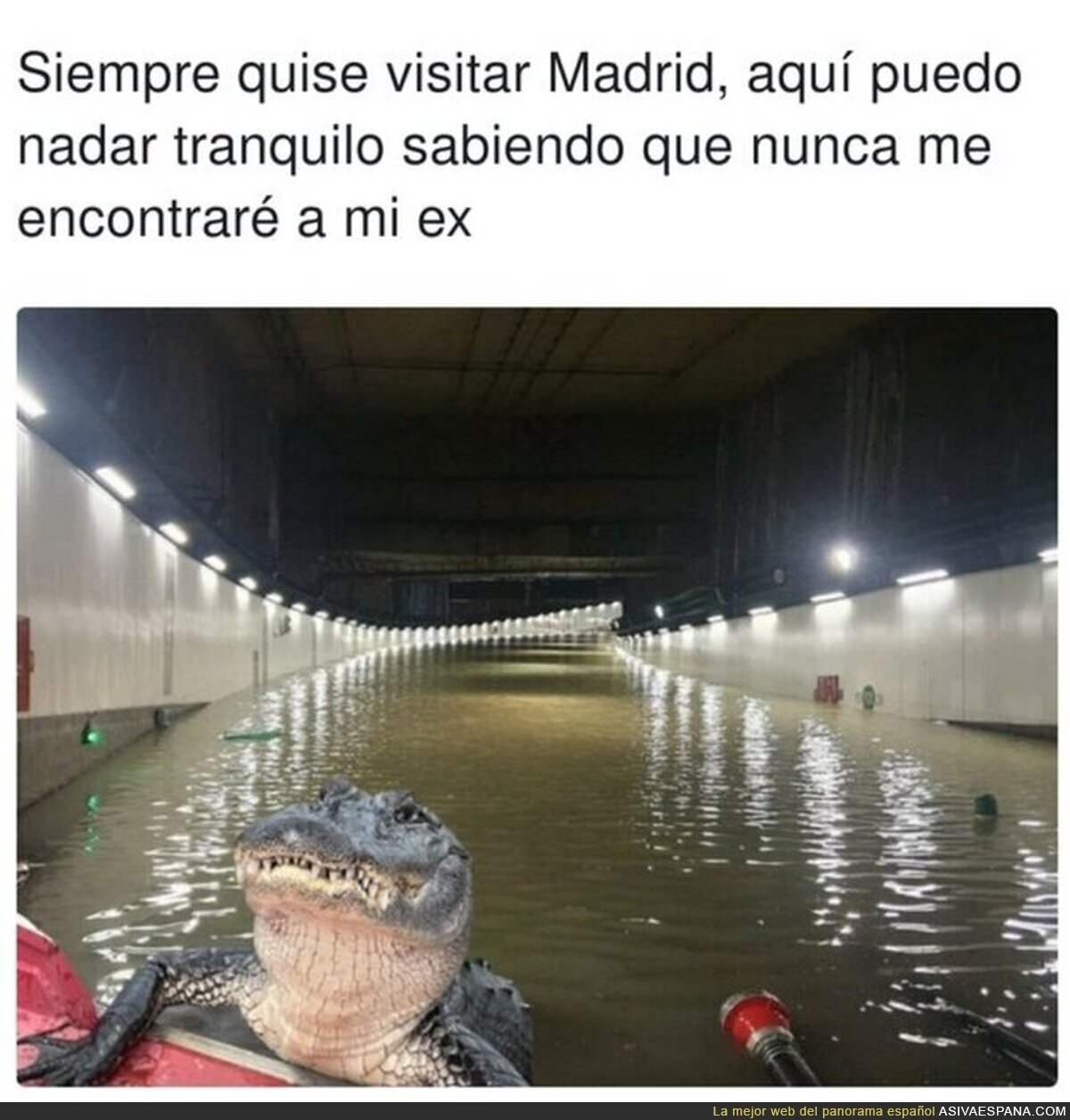 Uf, ya imaginaba otro chiste de la Sirenita, por @rimanegra