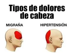 Le tiene que haber estallado a base de bien, por @TirodeGraciah