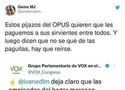Las exigencias de VOX con las empleadas del hogar