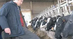 Feij&oacute;o y su pregunta surrealista sobre las vacas y sus nombres