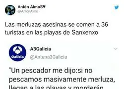 El ataque masivo de merluzas