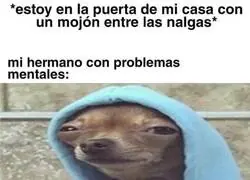 Todo son problemas