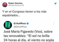 As&iacute; es el nivel de VOX