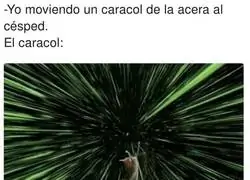 Todos lo hemos hecho de peque&ntilde;os