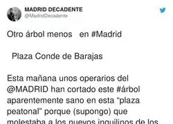 Madrid est&aacute; acabando con los &aacute;rboles